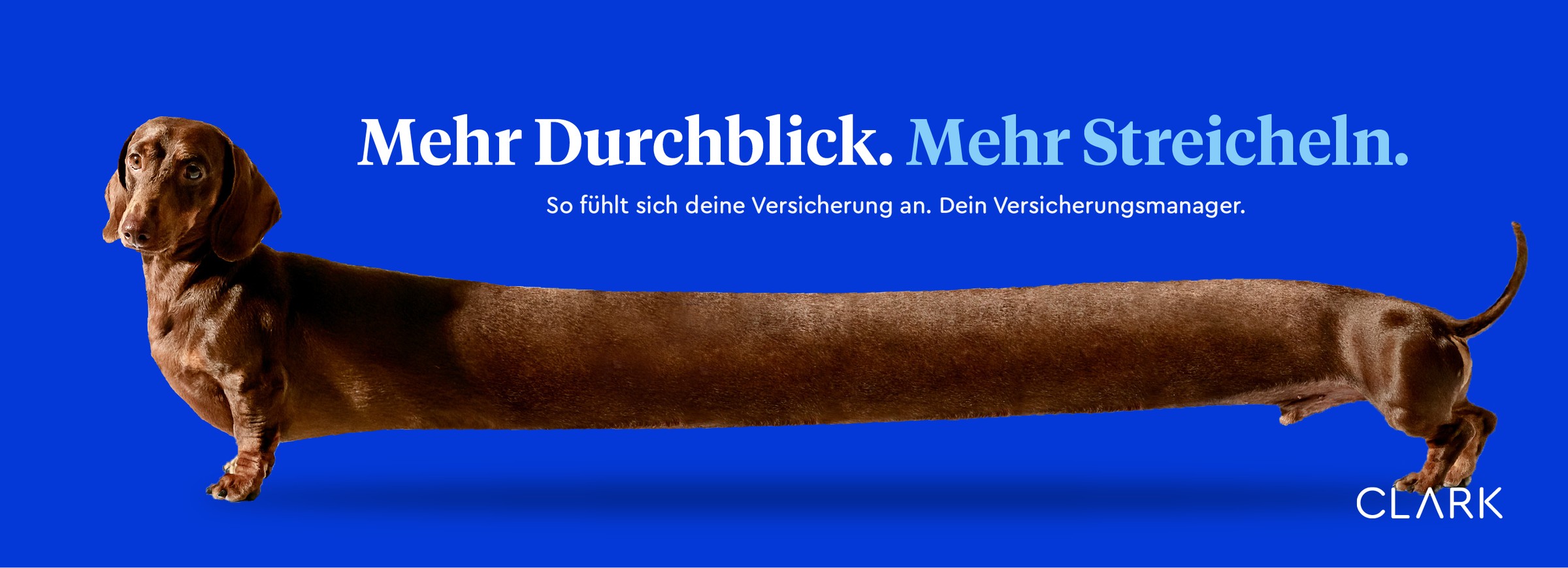 CLARK Mehr Durchblick campaign banner